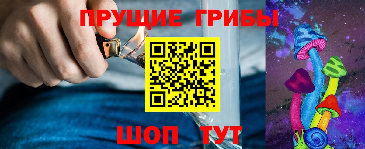 Псилоцибиновые грибы прущие грибы Набережные Челны